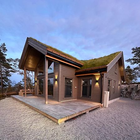 Modern Northern Lights Cabin Drangedal Bagian luar foto
