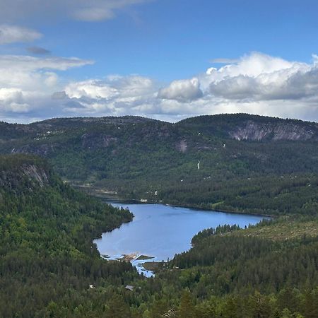 Modern Northern Lights Cabin Drangedal Bagian luar foto
