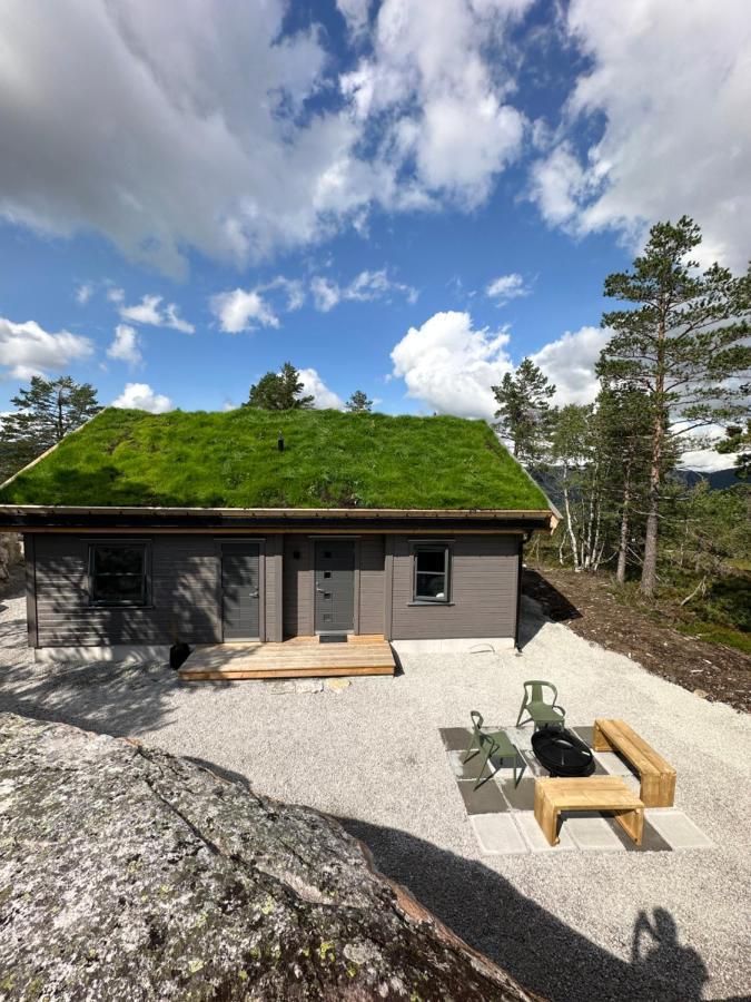 Modern Northern Lights Cabin Drangedal Bagian luar foto