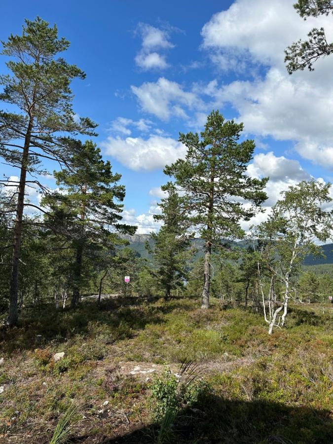 Modern Northern Lights Cabin Drangedal Bagian luar foto