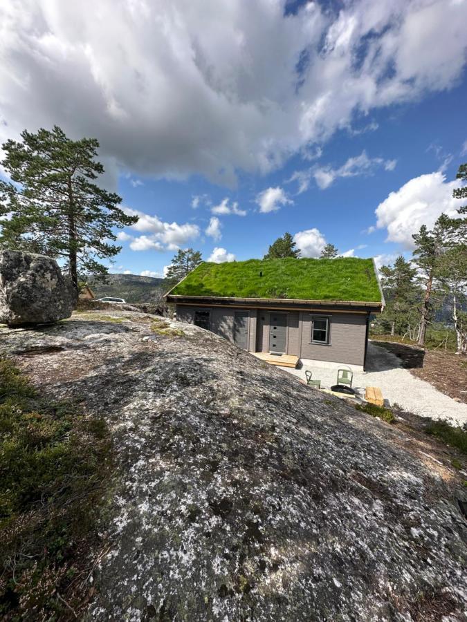 Modern Northern Lights Cabin Drangedal Bagian luar foto