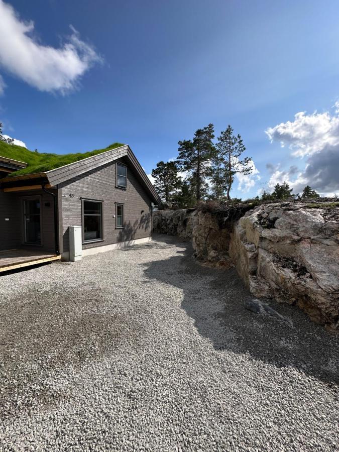 Modern Northern Lights Cabin Drangedal Bagian luar foto