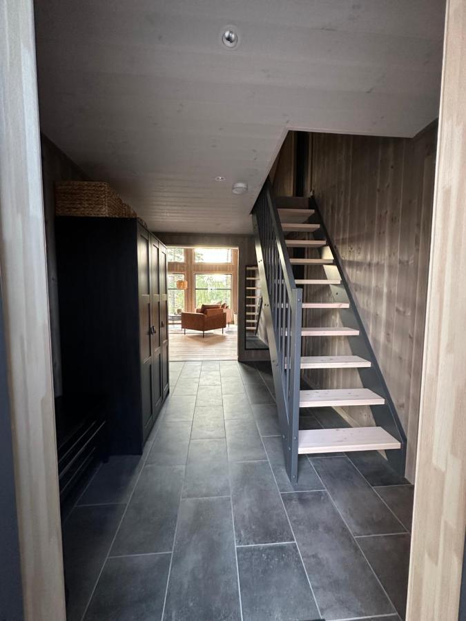 Modern Northern Lights Cabin Drangedal Bagian luar foto