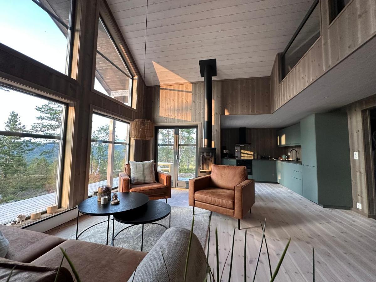 Modern Northern Lights Cabin Drangedal Bagian luar foto