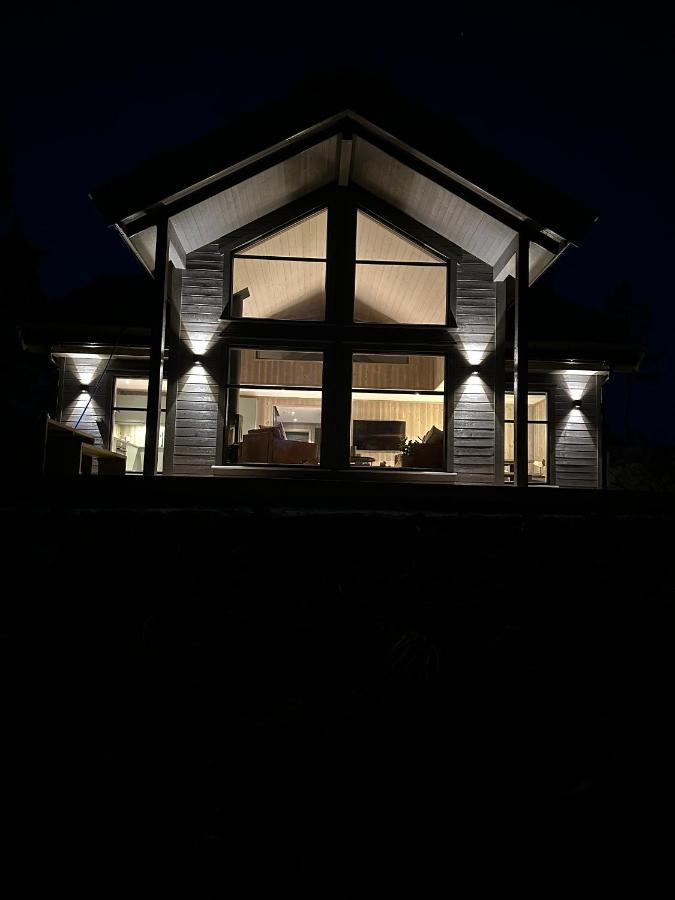 Modern Northern Lights Cabin Drangedal Bagian luar foto