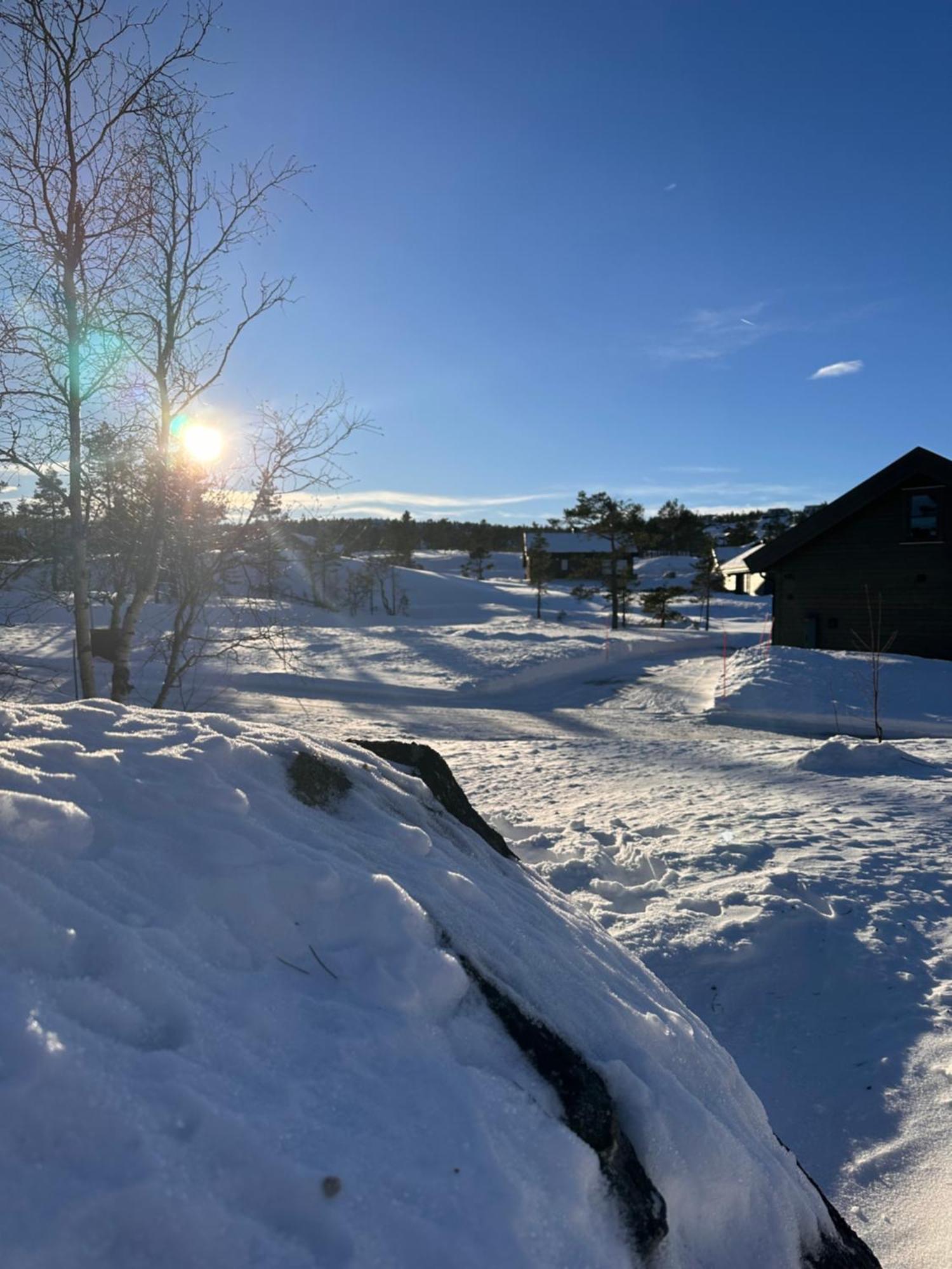 Modern Northern Lights Cabin Drangedal Bagian luar foto