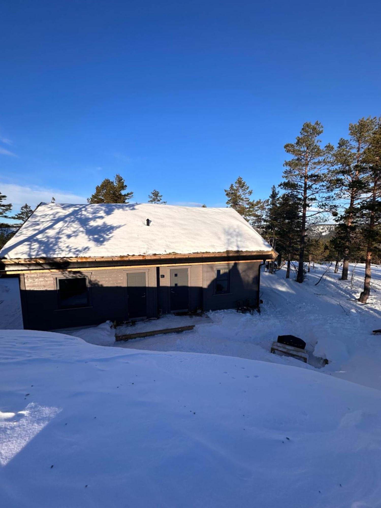 Modern Northern Lights Cabin Drangedal Bagian luar foto