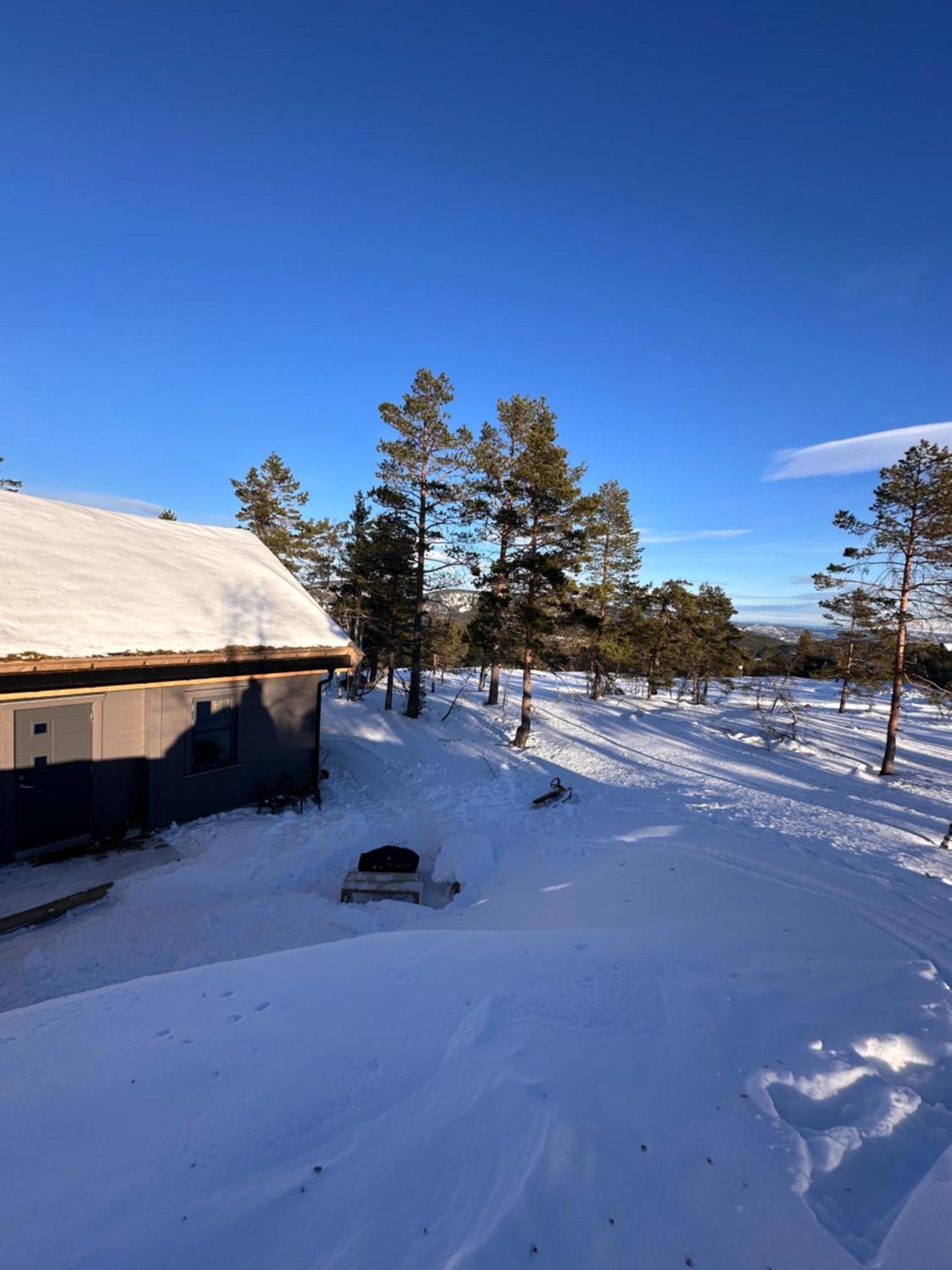 Modern Northern Lights Cabin Drangedal Bagian luar foto