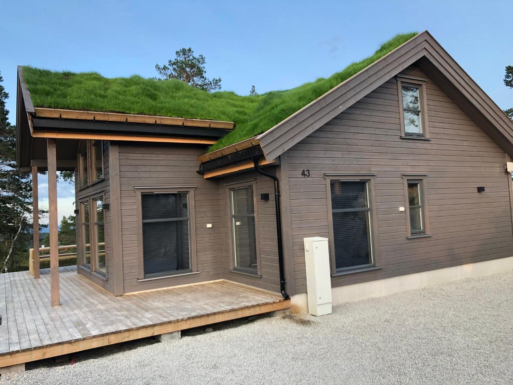 Modern Northern Lights Cabin Drangedal Bagian luar foto