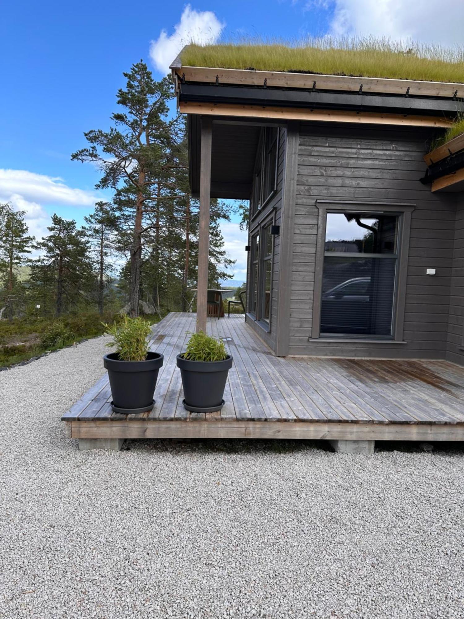 Modern Northern Lights Cabin Drangedal Bagian luar foto
