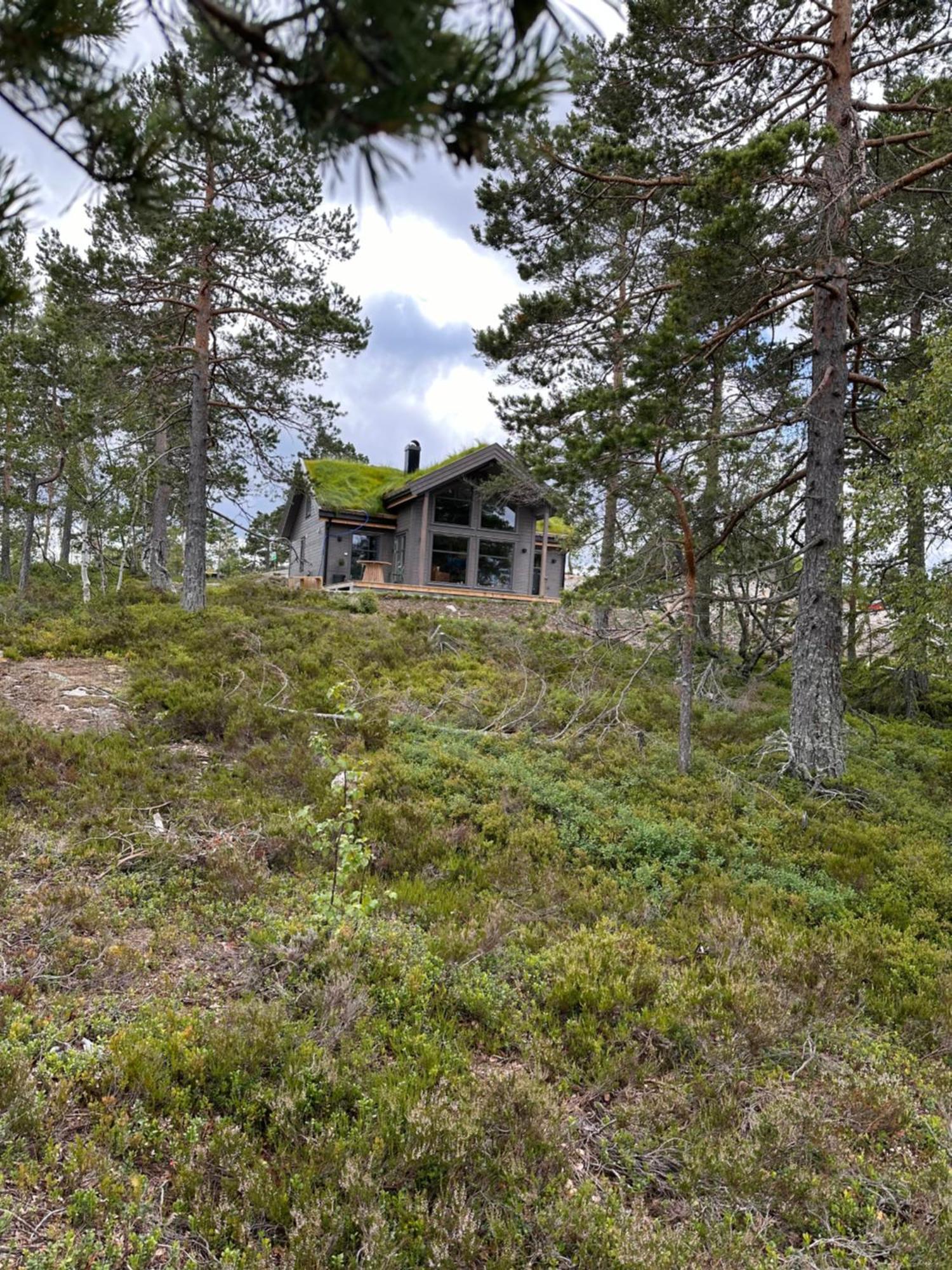 Modern Northern Lights Cabin Drangedal Bagian luar foto
