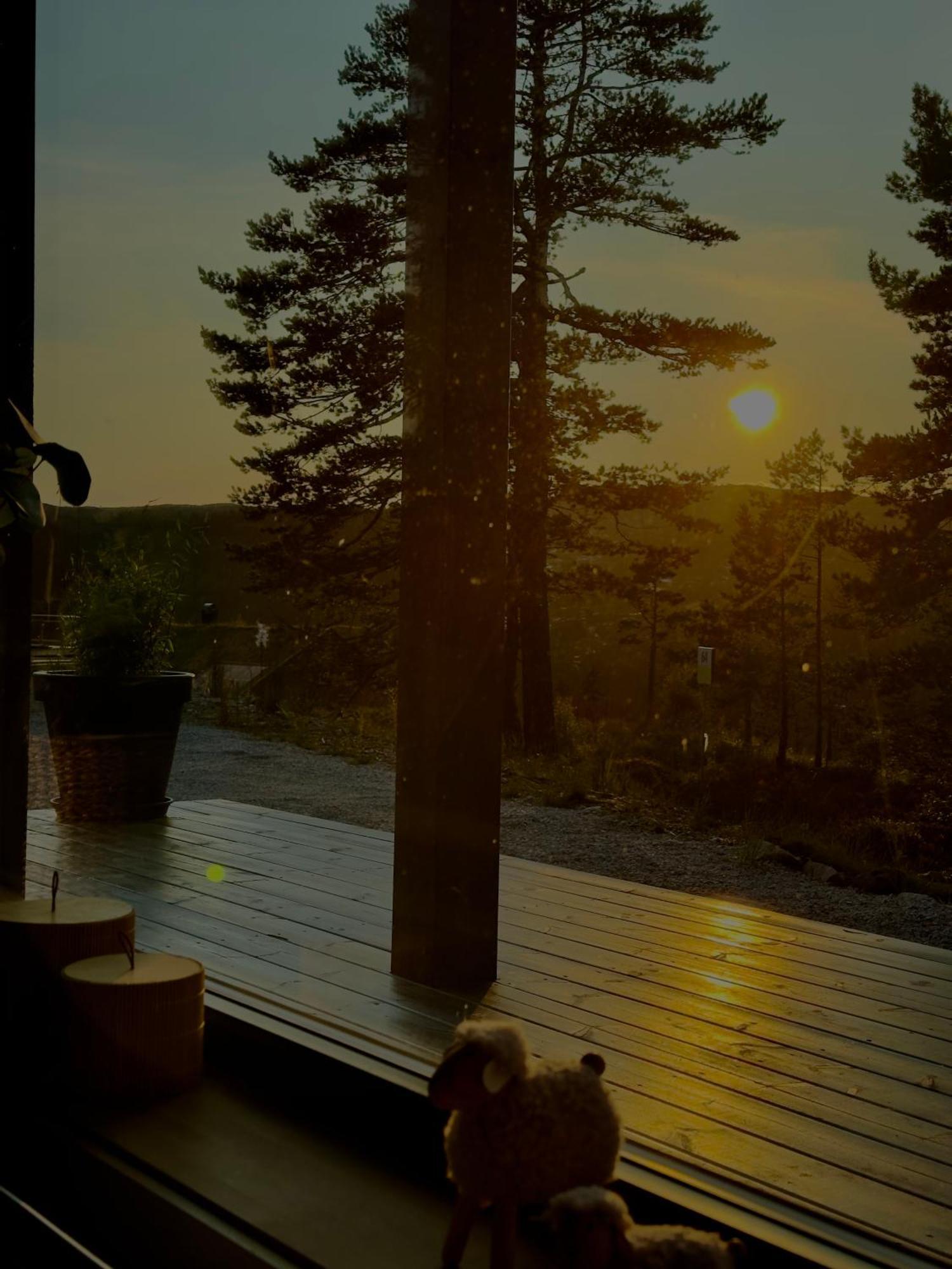 Modern Northern Lights Cabin Drangedal Bagian luar foto
