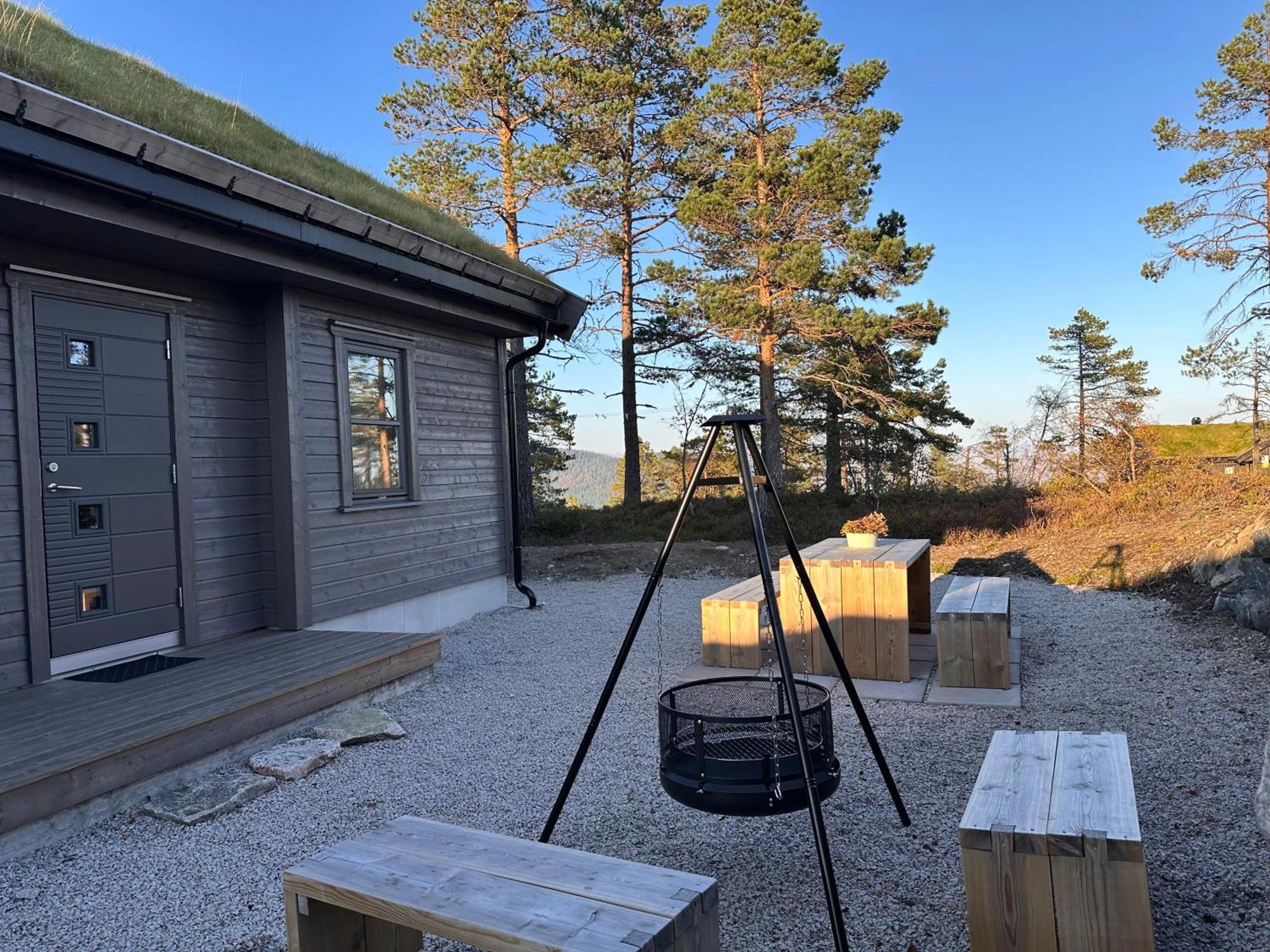 Modern Northern Lights Cabin Drangedal Bagian luar foto