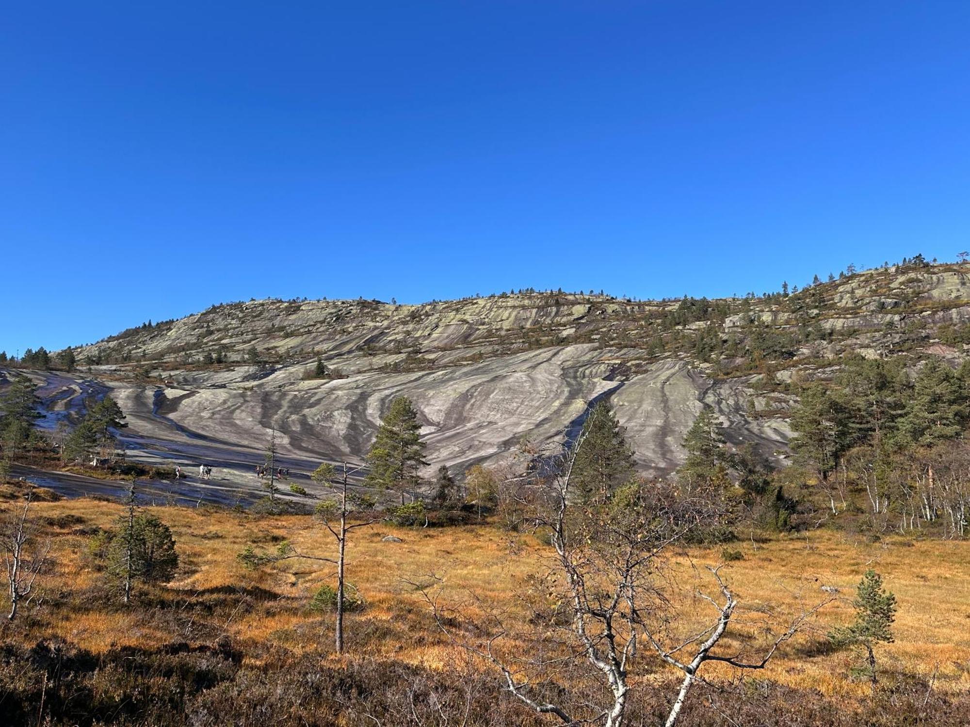Modern Northern Lights Cabin Drangedal Bagian luar foto