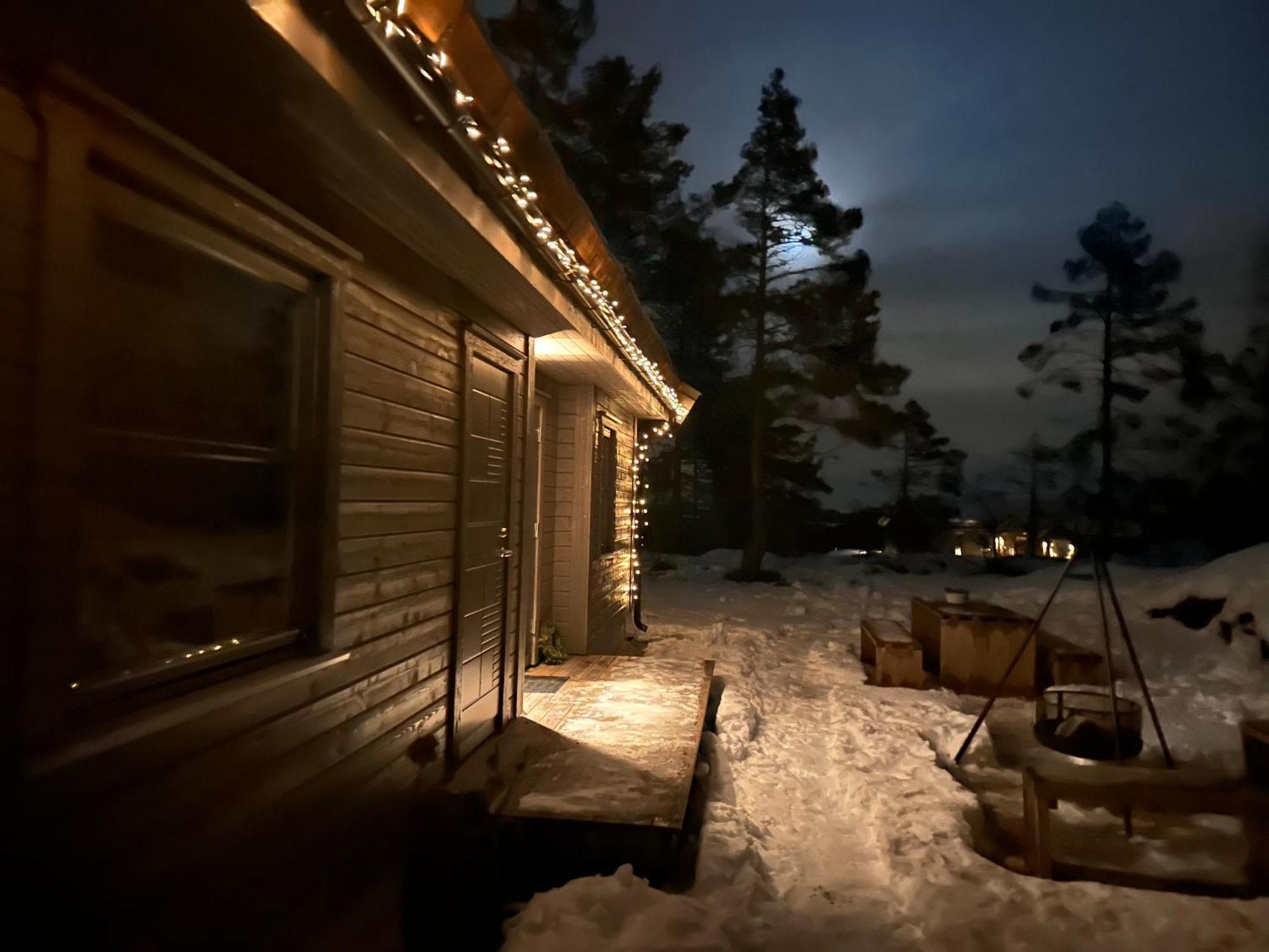 Modern Northern Lights Cabin Drangedal Bagian luar foto