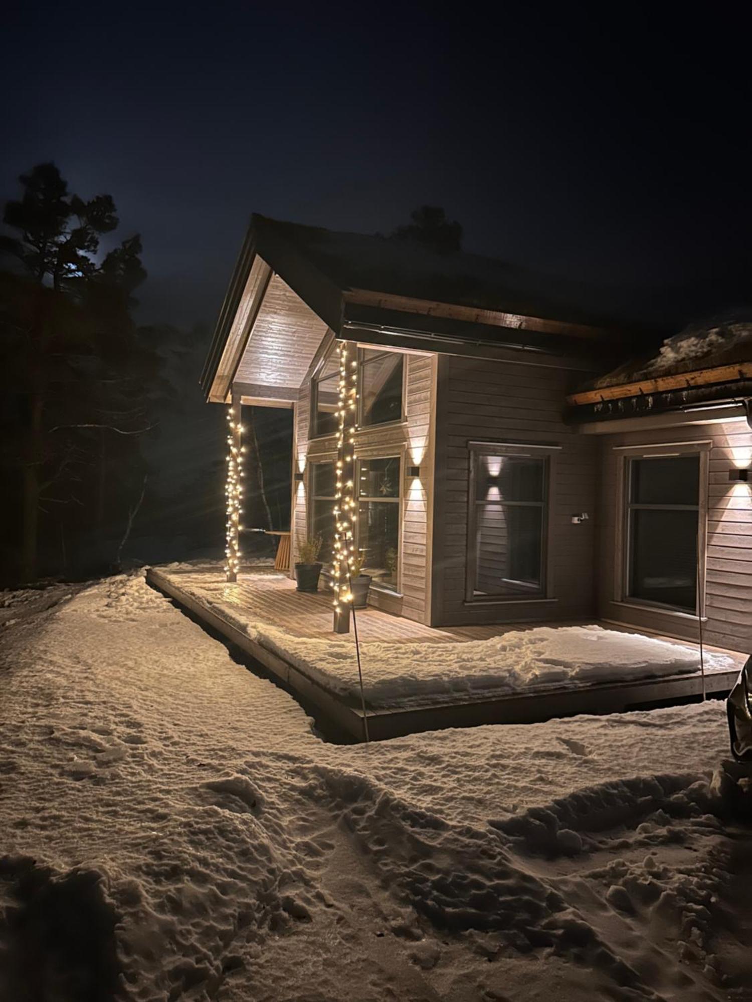 Modern Northern Lights Cabin Drangedal Bagian luar foto