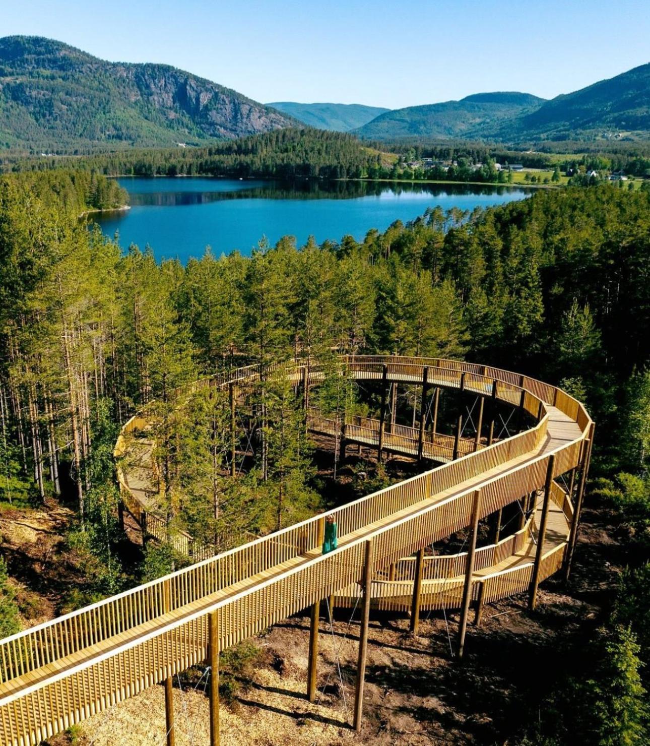 Modern Northern Lights Cabin Drangedal Bagian luar foto